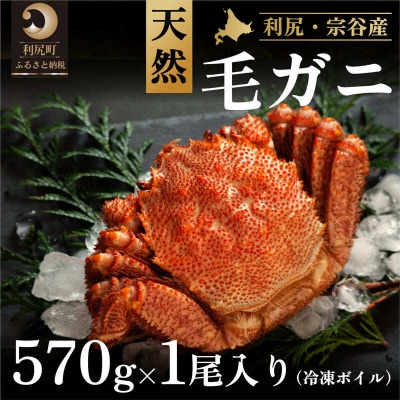 利尻・宗谷産 冷凍ボイル毛蟹 570g前後×1尾 [No5888-0760]