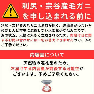 利尻・宗谷産 冷凍ボイル毛蟹 570g前後×2尾 [No5888-0766]