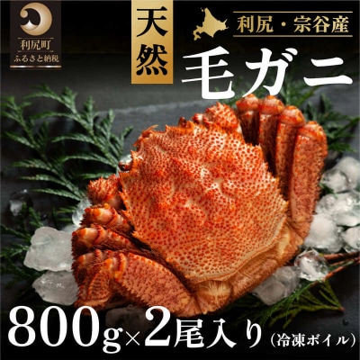 [2025年2月中旬出荷開始]利尻・宗谷産冷凍ボイル毛蟹800g前後×2尾[No5888-0768]