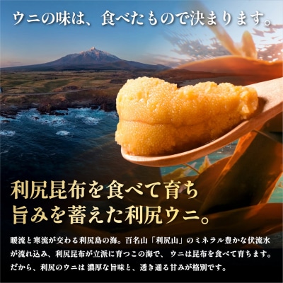 【只今 順次発送中】塩水うに 利尻昆布育ちの天然キタムラサキ90g 利尻島産[1110003]