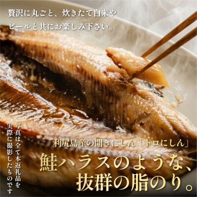 干物 ニシン開き 10枚 | 北海道利尻産 トロにしん 無添加 国産 冷凍[1060009]
