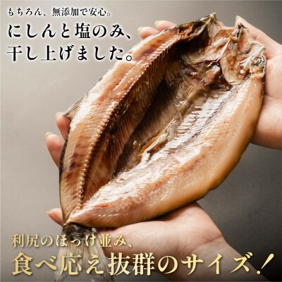 干物 ニシン開き 10枚 | 北海道利尻産 トロにしん 無添加 国産 冷凍[1060009]