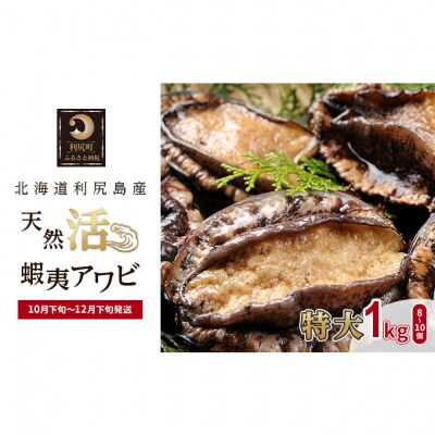 【特大】北海道利尻島産 天然〈活〉蝦夷アワビ1kg(8～10個)[No5888-0779]