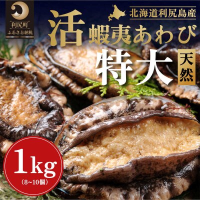 【2026年発送受付】北海道利尻島産 特大 天然〈活〉蝦夷アワビ1kg(8～10個)
