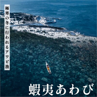 【2026年発送受付】北海道利尻島産 特大 天然〈活〉蝦夷アワビ1kg(8～10個)