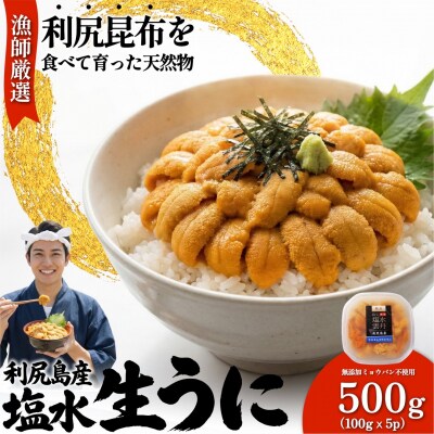 【2026年発送受付】漁師厳選!利尻産キタムラサキウニ500g(100g×5p)[1060091]