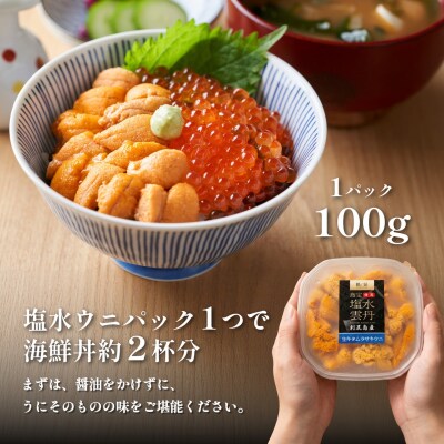【2026年発送受付】漁師厳選!利尻産キタムラサキウニ500g(100g×5p)[1060091]