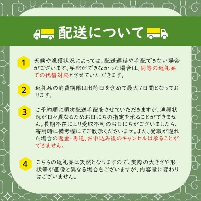 漁師厳選利尻島産キタムラサキウニ500g[2025年6～8月発送分先行受付][5888-0786]
