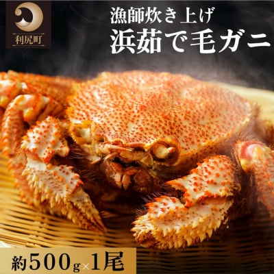 [2025年2月出荷開始先行受付]利尻・宗谷産 浜茹で毛ガニ500g前後×1尾 [58880637]