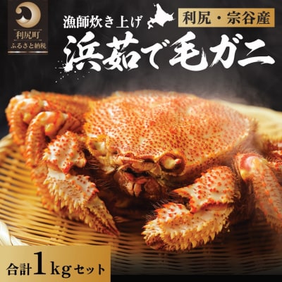 【2026年先行受付】利尻・宗谷産 浜茹で毛ガニ 合計約1kg(チルド配送)[1060050]
