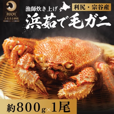 【2026年先行受付】利尻・宗谷産 浜茹で毛ガニ　800g前後×1尾(チルド配送)[1060048]