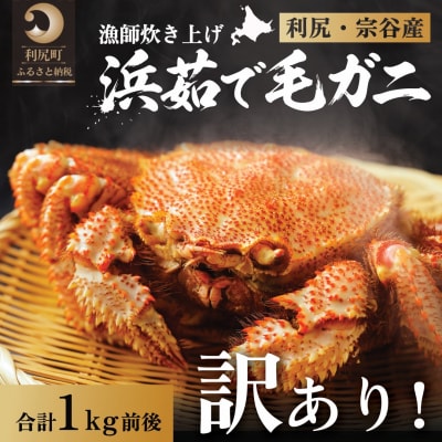 �y2026�N��s��t�z���K�E�@�J�Y�y�󂠂�z�l䥂ŖуK�j 1kg�O��(�`���h�z��)[1060054]