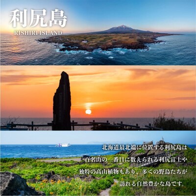 利尻島産　いくら醤油漬け 500g[No.58880796]
