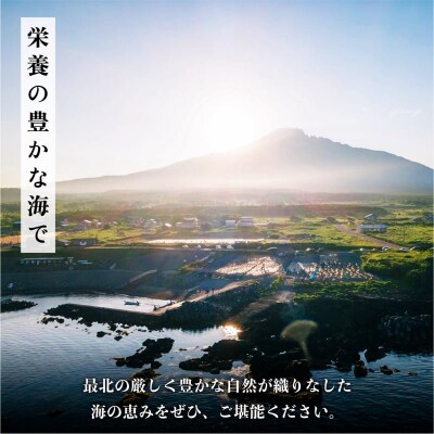 利尻島産　いくら醤油漬け 500g[No.58880796]
