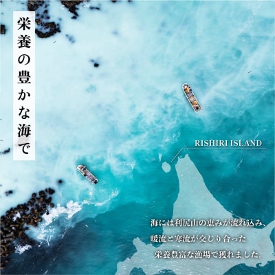 利尻こんべ～ 10袋セット | おしゃぶり昆布 北海道 利尻昆布 おつまみ スナック