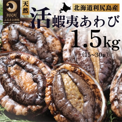 【10月～12月発送】天然蝦夷『活』アワビ1.5kg 利尻産 昆布育ちの美味しい鮑[1060137]