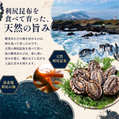 【10月～12月発送】天然蝦夷『活』アワビ1.5kg 利尻産 昆布育ちの美味しい鮑[1060137]