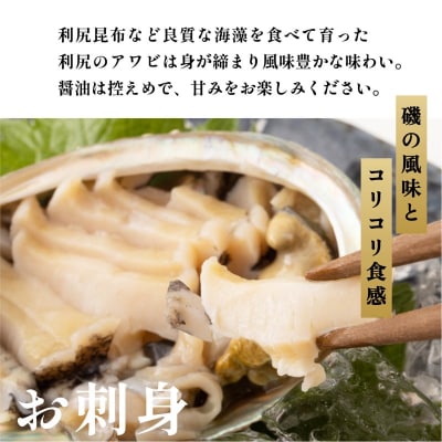 【10月～12月発送】天然蝦夷『活』アワビ1.5kg 利尻産 昆布育ちの美味しい鮑[1060137]