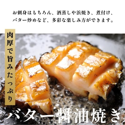 【10月～12月発送】天然蝦夷『活』アワビ1.5kg 利尻産 昆布育ちの美味しい鮑[1060137]