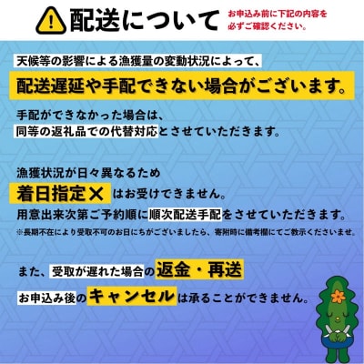 【2026年発送受付】利尻島産「浜直」塩水生うに160g (80g×2) 天然キタムラサキウニ