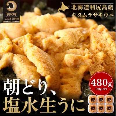 【2026年発送受付】利尻島産「朝どり」塩水生うに480g (80g×6) 天然キタムラサキウニ