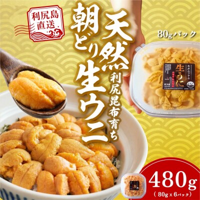 【2026年発送受付】利尻島産「朝どり」塩水生うに480g (80g×6) 天然キタムラサキウニ