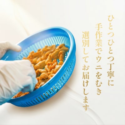 【2026年発送受付】利尻島産「朝どり」塩水生うに200g (100g×2) 天然キタムラサキウニ