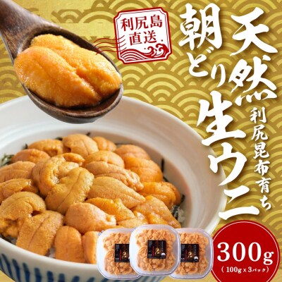 【2026年発送受付】利尻島産「浜直」塩水生うに300g (100g×3) 天然キタムラサキウニ