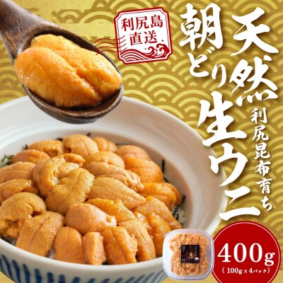 【2026年発送受付】利尻島産「浜直」塩水生うに400g (100g×4) 天然キタムラサキウニ