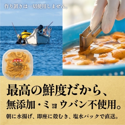 【只今 順次発送中】利尻昆布育ちの天然生うに 塩水キタムラサキ360g 利尻島産[1110011]