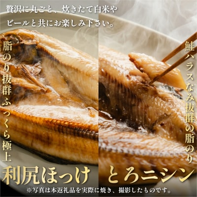 干物食べ比べ 旨味ホッケ&トロニシン 開き3枚セット利尻島産 [1060145]