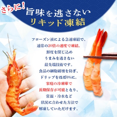 超速リキッド凍結でドリップゼロ!北海道羽幌産甘えび・ぼたんえびセット計1kg【0311701】
