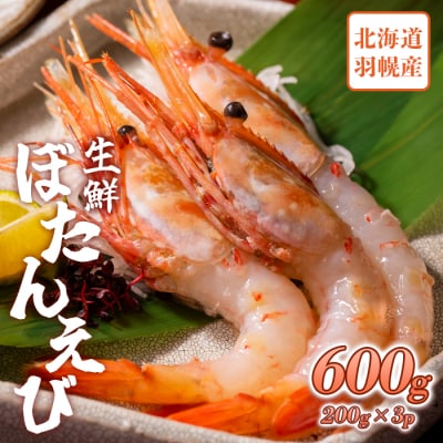 超速リキッド凍結でドリップゼロ!北海道羽幌産生鮮ぼたんえび 600g【0311802】