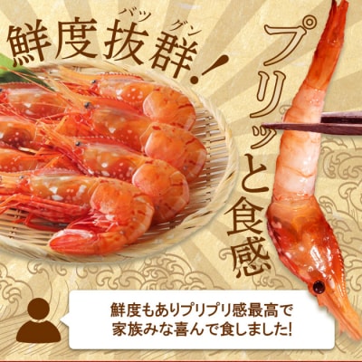 超速リキッド凍結でドリップゼロ!北海道羽幌産生鮮ぼたんえび 600g【03118】