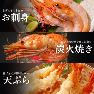超速リキッド凍結でドリップゼロ!北海道羽幌産生鮮ぼたんえび 600g【03118】