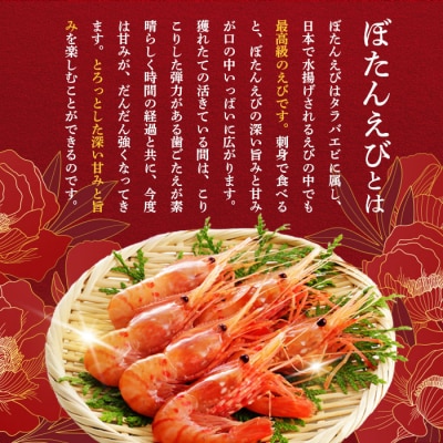 超速リキッド凍結でドリップゼロ!北海道羽幌産生鮮ぼたんえび 600g【0311802】