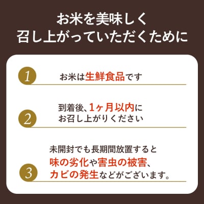 【2025年産】北海道羽幌産 オロロン米ななつぼし10kg(5kg×2セット)【0410702】