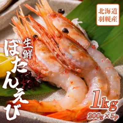 超速リキッド凍結でドリップゼロ!北海道羽幌産生鮮ぼたんえび 1kg【0311902】
