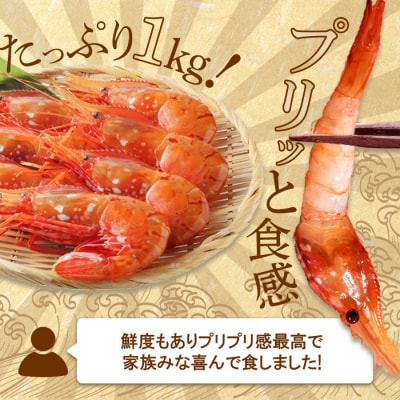超速リキッド凍結でドリップゼロ!北海道羽幌産生鮮ぼたんえび 1kg【0311901】