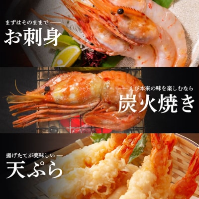 超速リキッド凍結でドリップゼロ!北海道羽幌産生鮮ぼたんえび 1kg【03119】