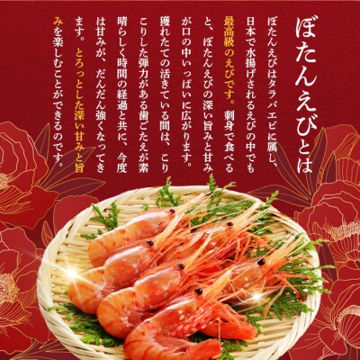 超速リキッド凍結でドリップゼロ!北海道羽幌産生鮮ぼたんえび 1kg【0311901】