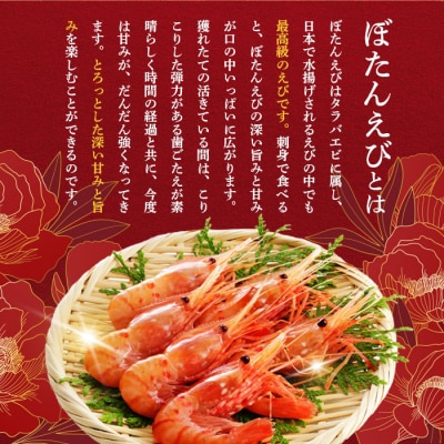 超速リキッド凍結でドリップゼロ!北海道羽幌産生鮮ぼたんえび 1kg【0311902】