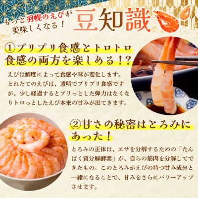 北海道羽幌産 冷凍むき甘えび 1kg(500g×2パック)【03116】
