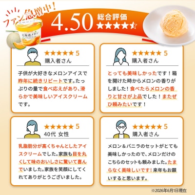 【Secoma】北海道アイスクリーム(メロン12個セット)【01102】