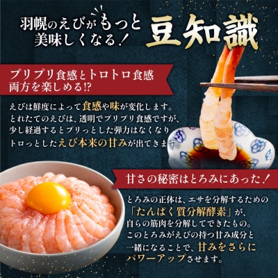 北海道羽幌産 冷凍むき甘えび 500g【0311402】