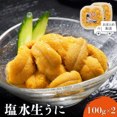 【6月上旬～8月中旬発送予定】北海道産 塩水ウニ 100g×2【0211802】