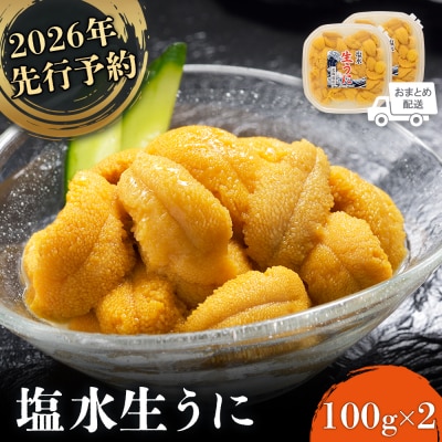 2026年先行受付!北海道産 塩水ウニ 200g 【6月上旬から8月中旬発送予定】【0211802】