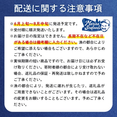 【6月上旬～8月中旬発送予定】北海道産 塩水ウニ 100g×2【0211802】