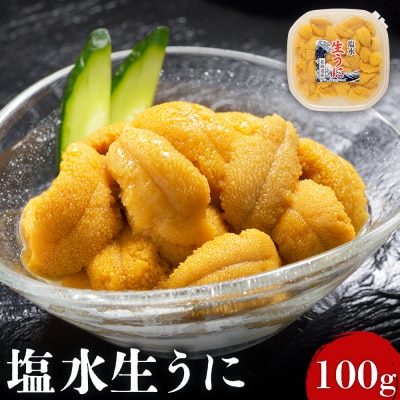 北海道産 塩水ウニ 100g 【6月上旬から8月中旬発送予定】【0211702】