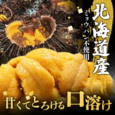 北海道産 塩水ウニ 100g 【6月上旬から8月中旬発送予定】【0211702】